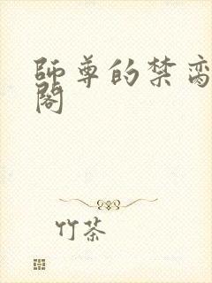 师尊的禁脔笔趣阁封面