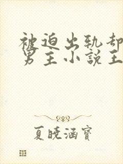 被迫出轨却上瘾男主小说王琴