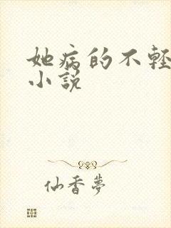 她病的不轻原著小说