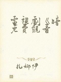 电视剧《暗影》免费观看