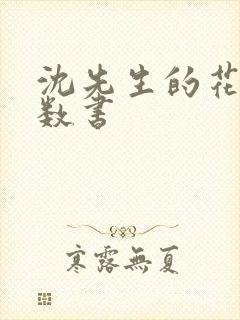 沈先生的花式调数书