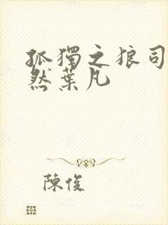 孤独之狼司空嫣然叶凡