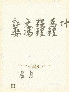 许文强为什么不娶冯程程封面