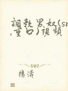 调教男奴(sm,重口)视频