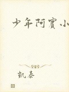 少年阿宾小说