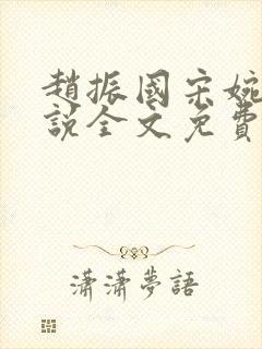 赵振国宋婉清小说全文免费阅读