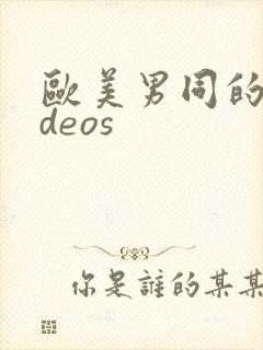 欧美男同的videos
