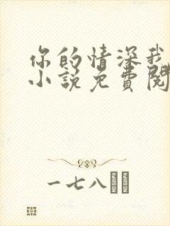 你的情深我不配小说免费阅读无弹窗