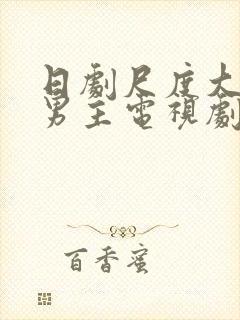 日剧尺度大的双男主电视剧