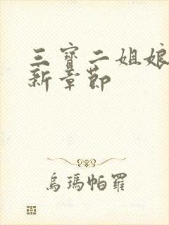 三宝二姐娘的最新章节