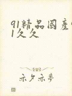 91精品国产91久久