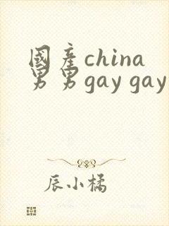 国产china男男gay gay网站