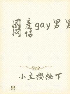 国产gay男男网站