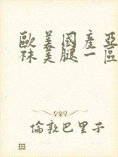 欧美国产亚洲丝袜美腿一区