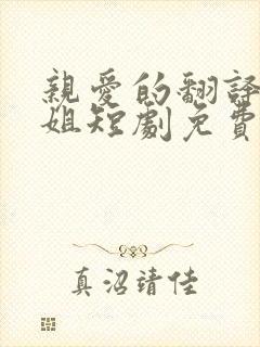 亲爱的翻译官小姐短剧免费观看