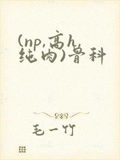 (np,高h,纯肉)骨科