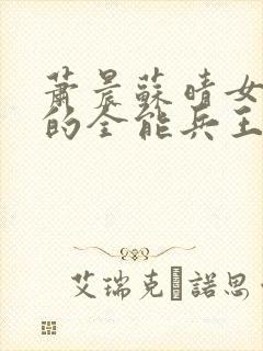 萧晨苏晴女总裁的全能兵王