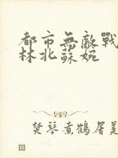 都市无敌战神 林北苏婉封面