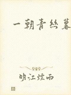 一朝青丝暮成雪封面