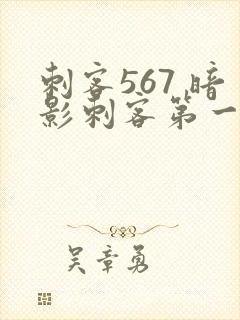刺客567 暗影刺客第一季