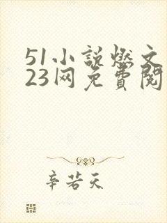 51小说燃文123网免费阅读