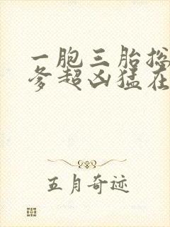 一胞三胎总裁爹爹超凶猛在线阅读