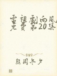 电视剧向风而行免费第20集播放