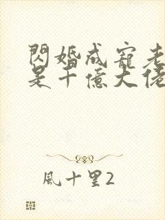 闪婚成宠老公竟是千亿大佬免费看