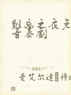 难忘之夜免费观看泰剧