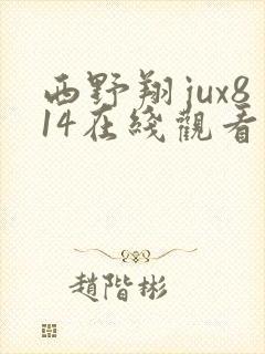 西野翔jux814在线观看封面