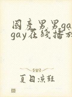 国产男男gaygay在线播放封面