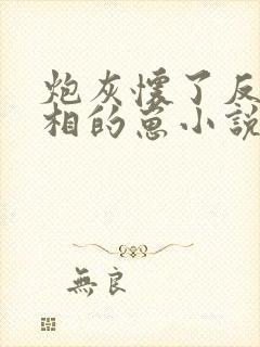 炮灰怀了反派丞相的崽小说封面