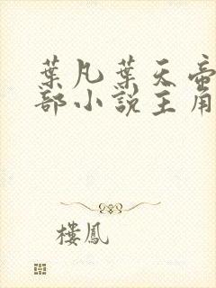 叶凡叶天帝是哪部小说主角