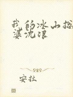 我的冰山总裁老婆沈浪