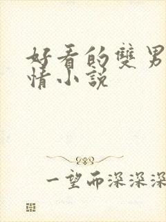 好看的双男主言情小说封面