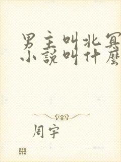 男主叫北冥夜的小说叫什么名字