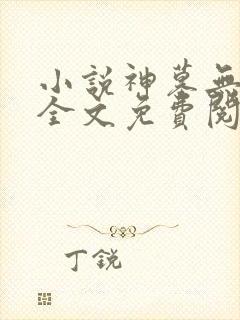 小说神墓无弹窗全文免费阅读封面