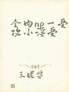 全肉np一受多攻小淫受