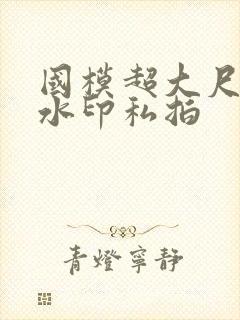 国模超大尺度无水印私拍