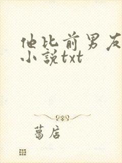 他比前男友炙热小说txt