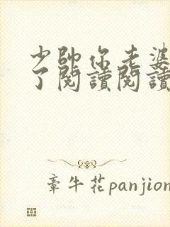 少帅你老婆又跑了阅读阅读全文封面