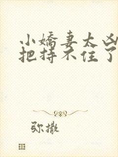 小娇妻太凶陆总把持不住了短剧全集