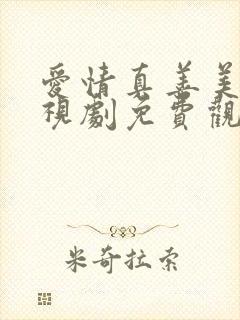 爱情真善美 电视剧免费观看