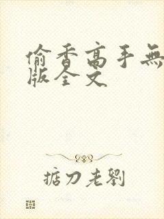 偷香高手无删减版全文