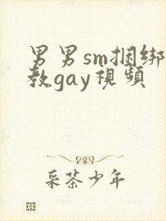 男男sm捆绑调教gay视频