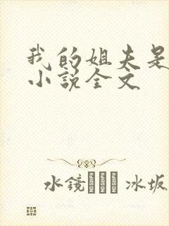 我的姐夫是太子小说全文