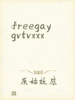 freegaygvtvxxx封面