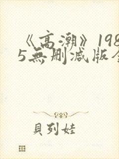 《高潮》1985无删减版全集封面