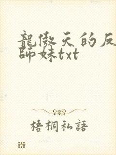 龙傲天的反派小师妹txt