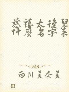 慈禧太后儿子叫什么名字来着